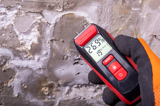Best Professional Mold Removal  in Hotchkiss, CO